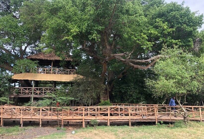 هتل Mara Sweet Acacia Lodge