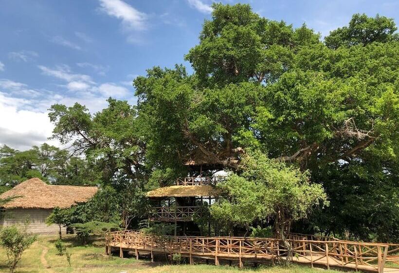 هتل Mara Sweet Acacia Lodge