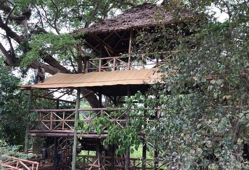 هتل Mara Sweet Acacia Lodge