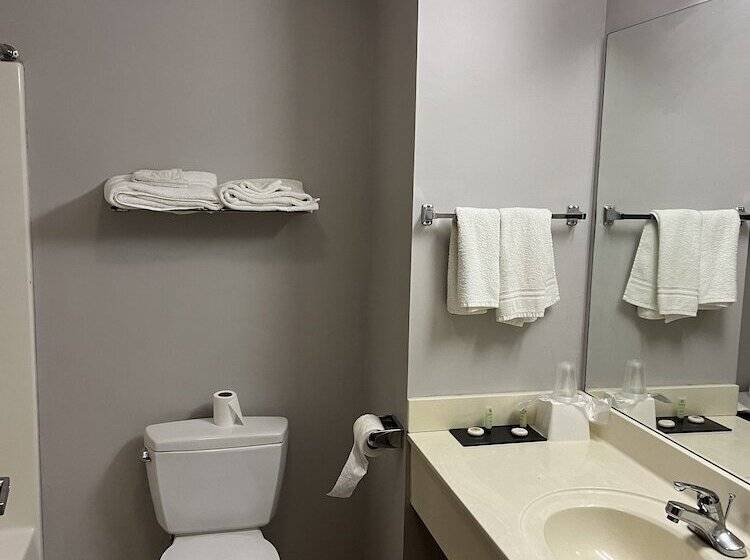 فندق Springfield Inn