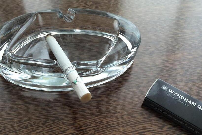 فندق Springfield Inn