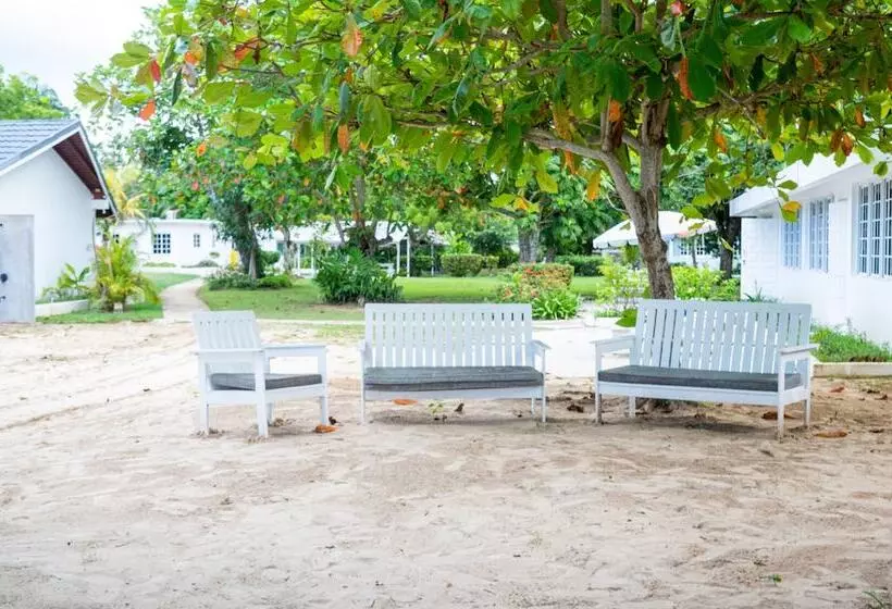 هتل The Yellow Bird