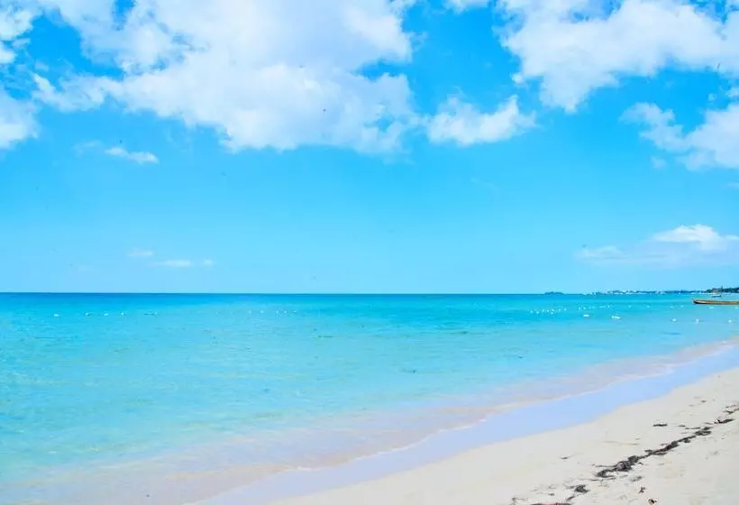 هتل The Yellow Bird