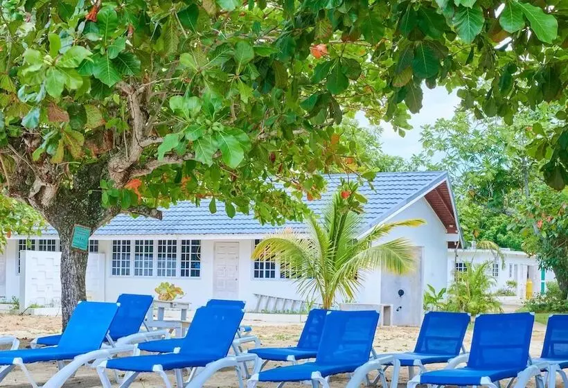 هتل The Yellow Bird