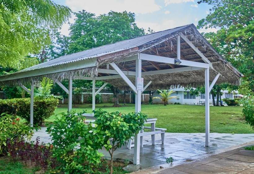 هتل The Yellow Bird