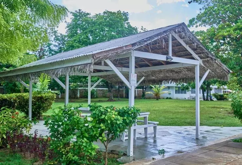 هتل The Yellow Bird