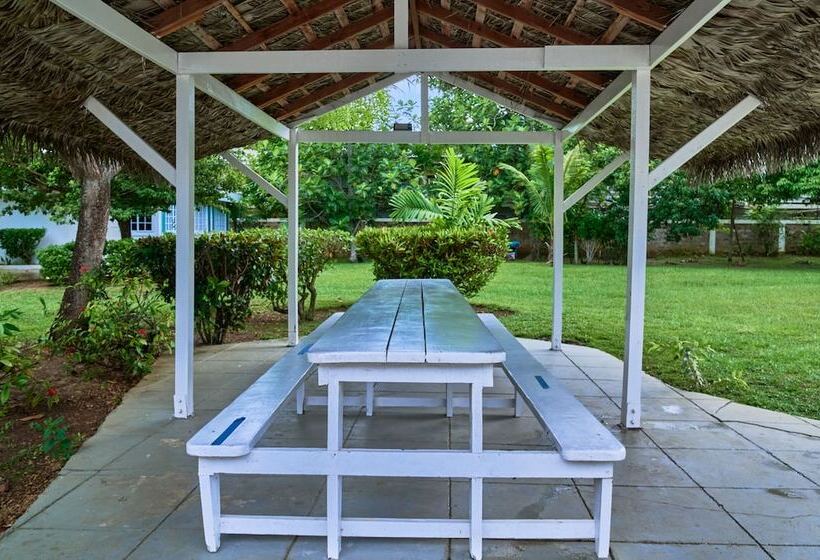 هتل The Yellow Bird