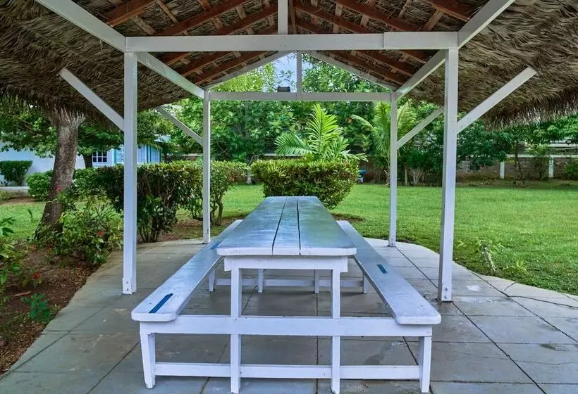 هتل The Yellow Bird