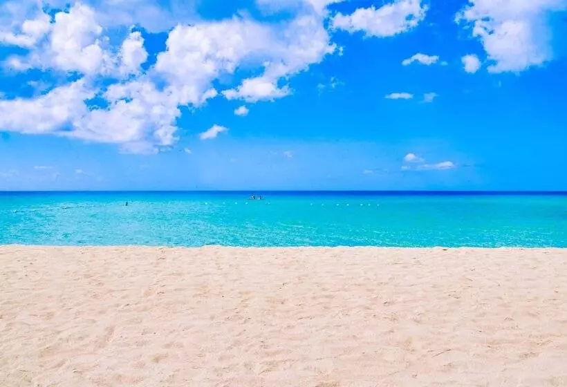 هتل The Yellow Bird