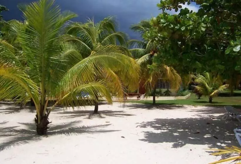 هتل The Yellow Bird