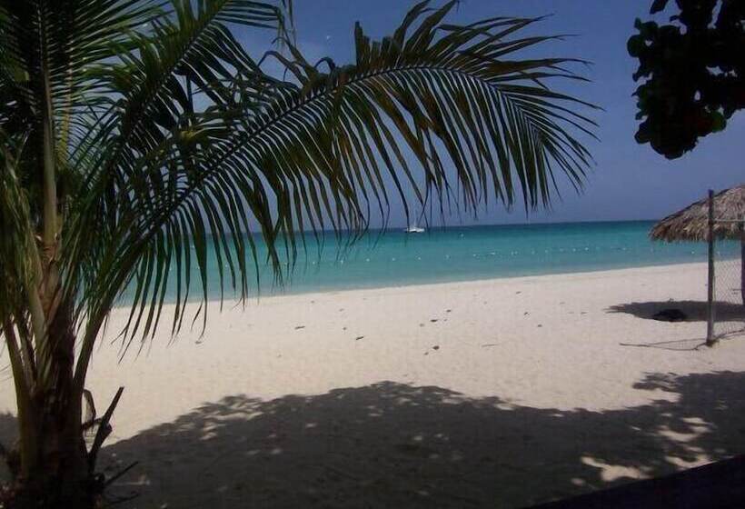 هتل The Yellow Bird