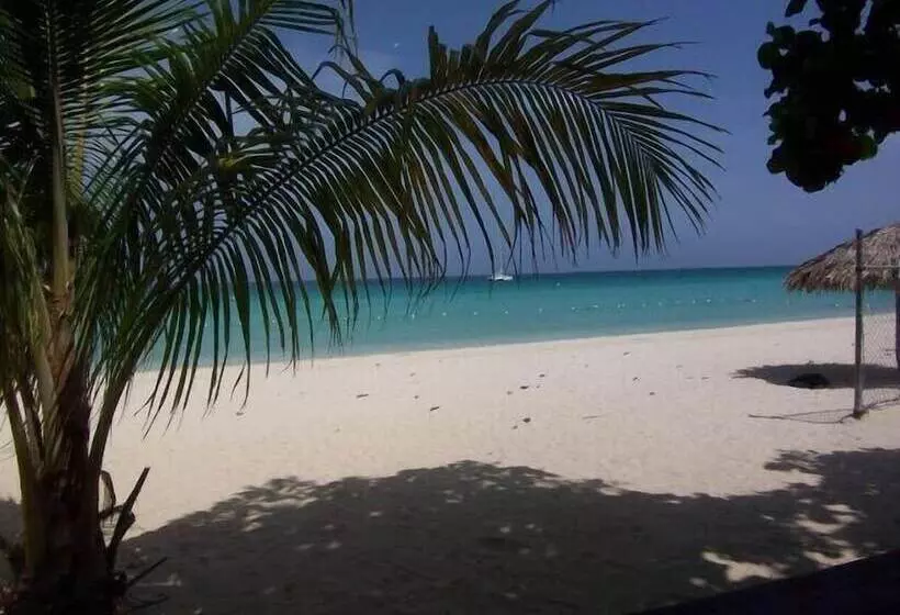 هتل The Yellow Bird