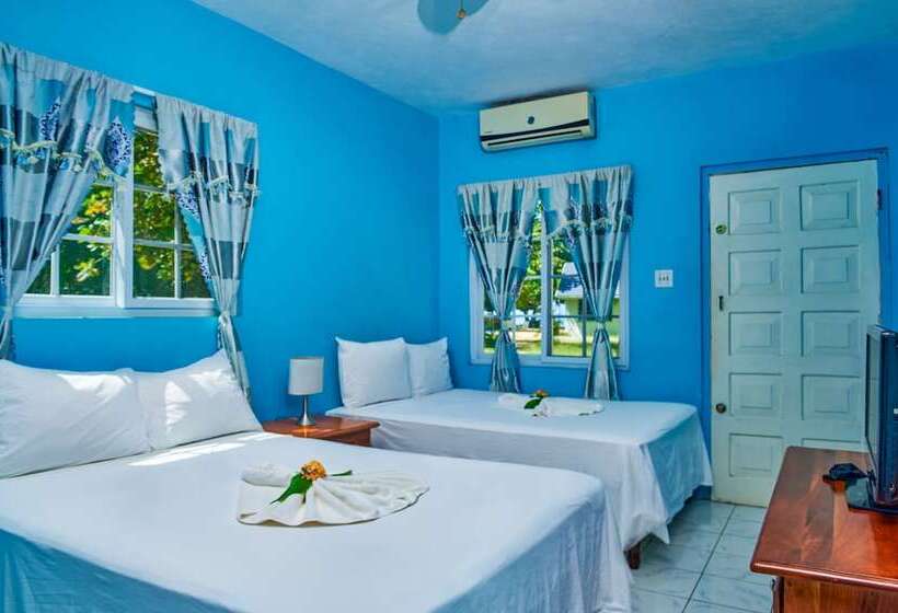 هتل The Yellow Bird