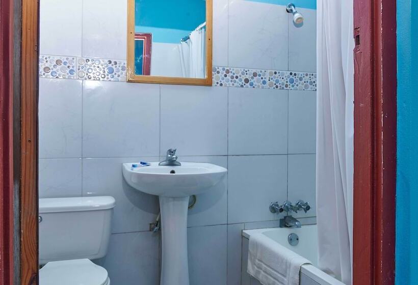 هتل The Yellow Bird