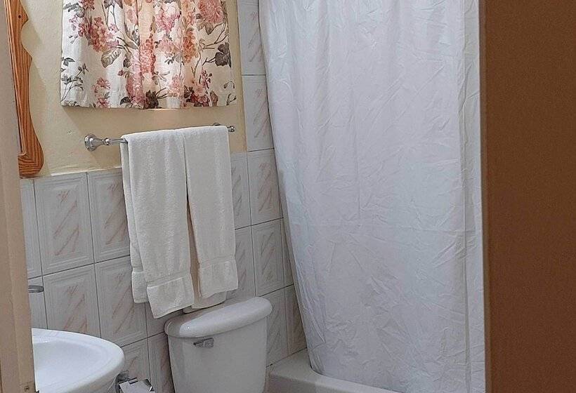 هتل The Yellow Bird