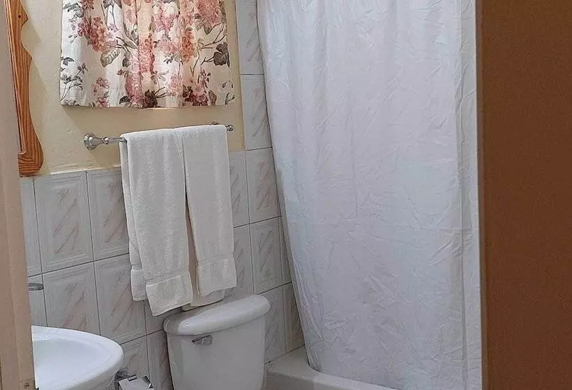 هتل The Yellow Bird