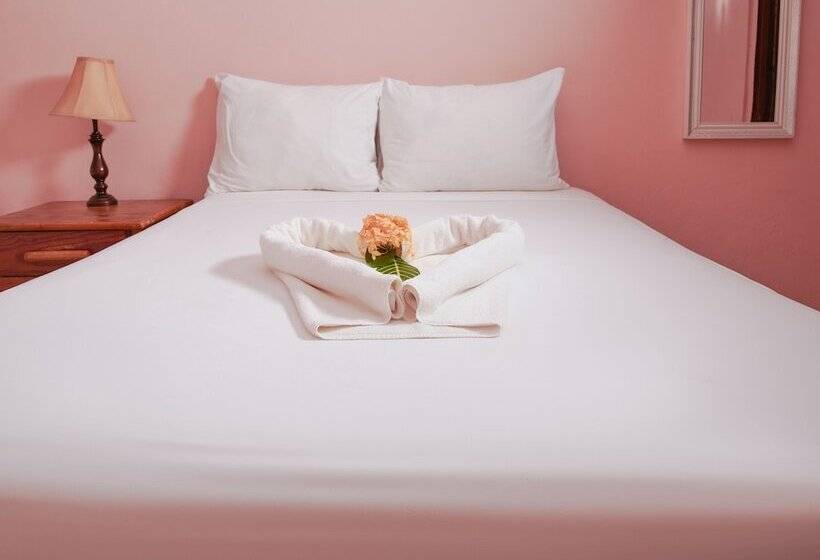 هتل The Yellow Bird