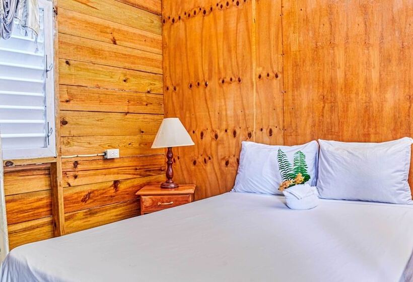 هتل The Yellow Bird