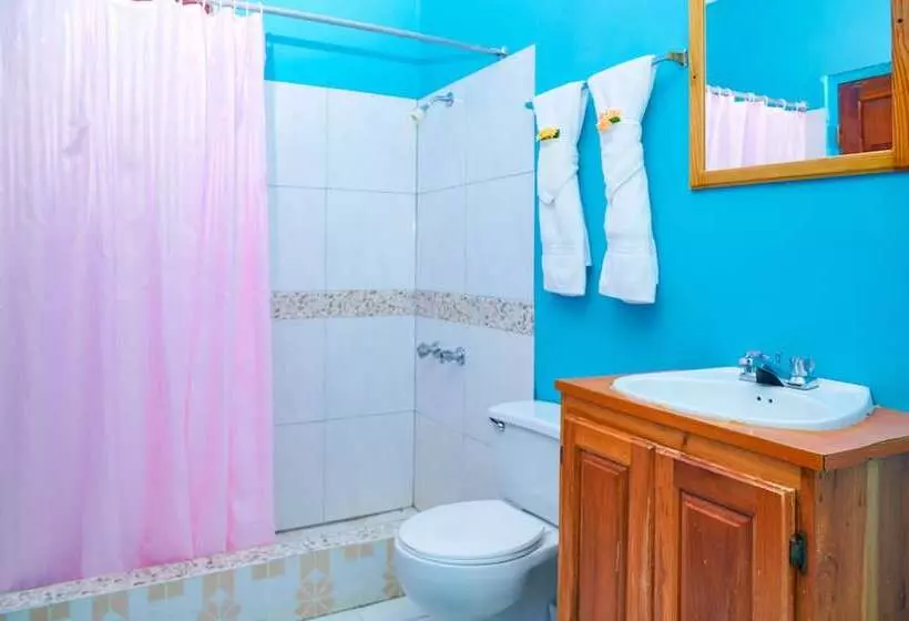 هتل The Yellow Bird