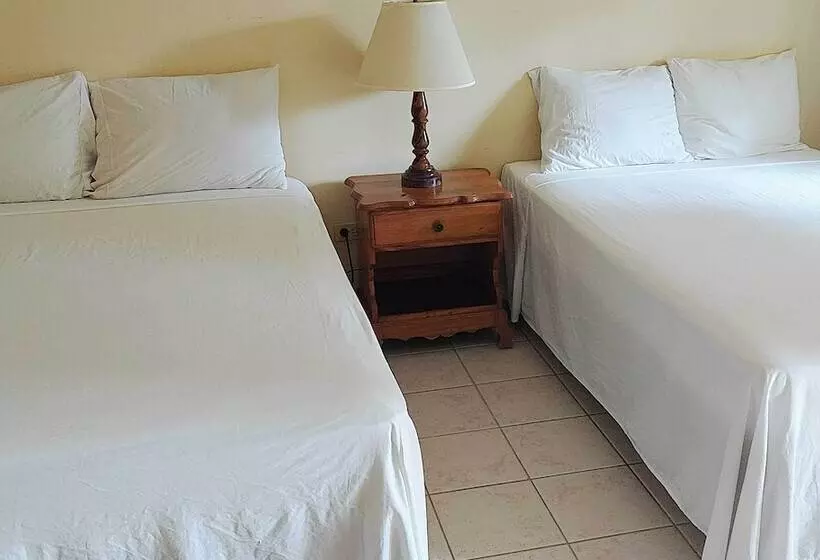 هتل The Yellow Bird