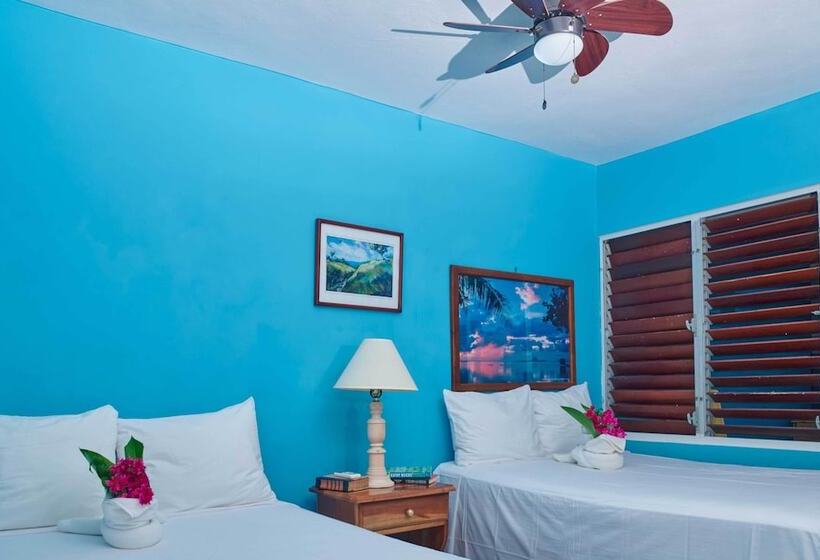 هتل The Yellow Bird