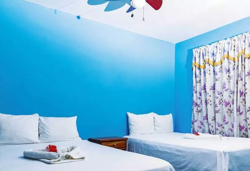 هتل The Yellow Bird