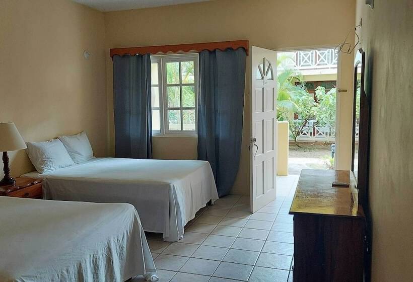 هتل The Yellow Bird