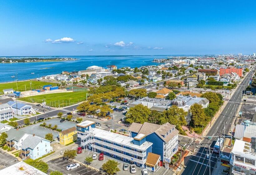 فندق على الطريق Beach Bum Inn