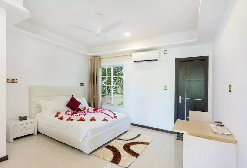 پانسیون K Inn Kaashidhoo