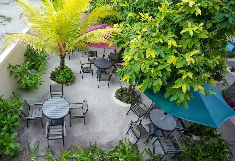 پانسیون K Inn Kaashidhoo