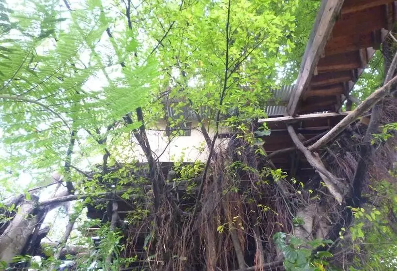 پانسیون Yasur View Bungalows