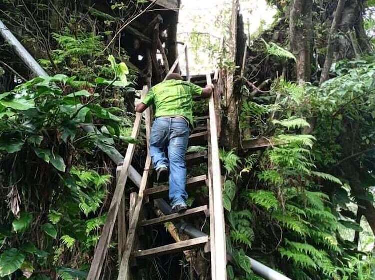 پانسیون Yasur View Bungalows