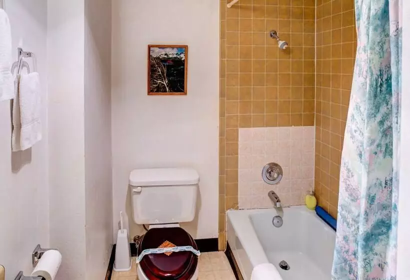 Yosemite Spring Studio B104