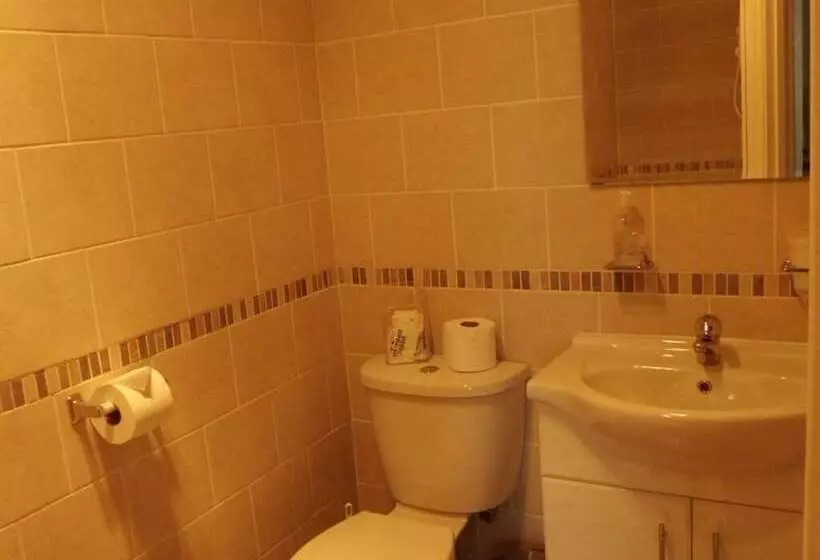 Отель The Golden Lion