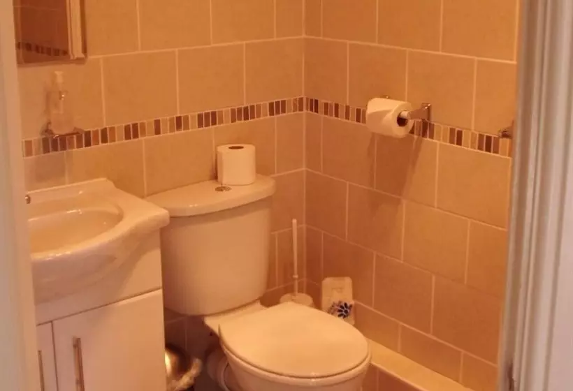 Отель The Golden Lion