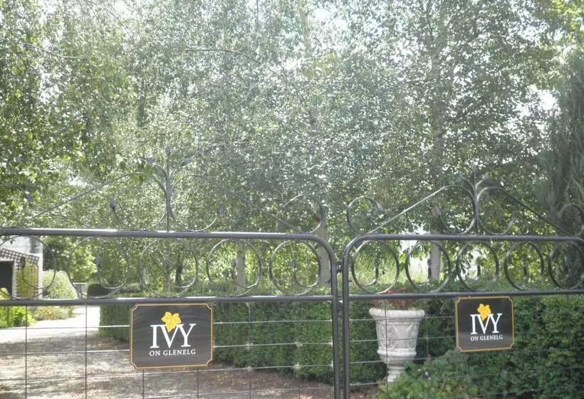 Ivy On Glenelg