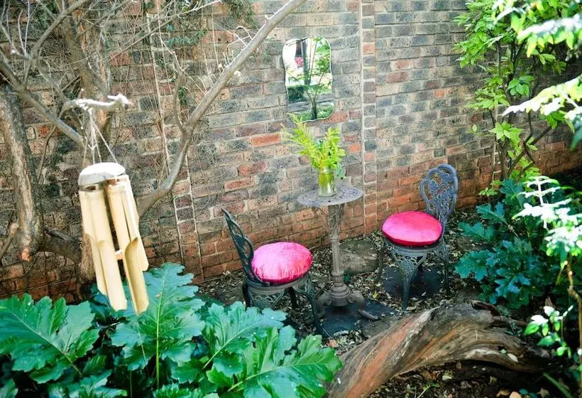 פנסיון 5th Avenue Gooseberry Guest House