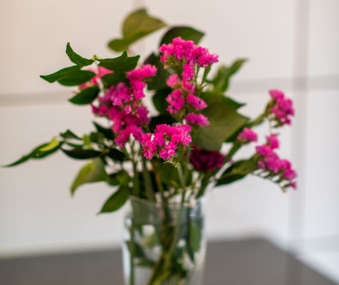 بنسيون 5th Avenue Gooseberry Guest House