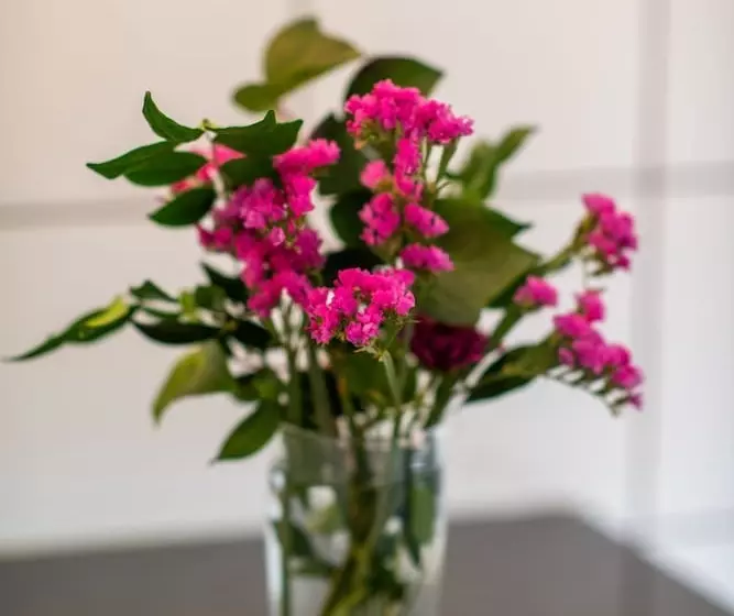 פנסיון 5th Avenue Gooseberry Guest House