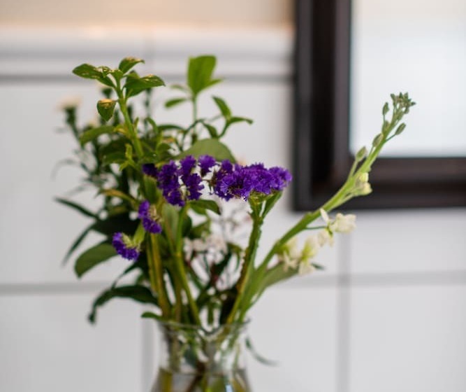 بنسيون 5th Avenue Gooseberry Guest House