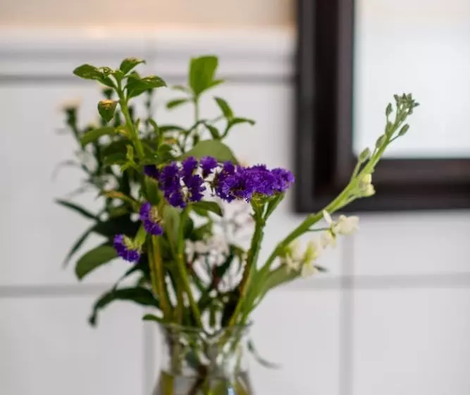 פנסיון 5th Avenue Gooseberry Guest House