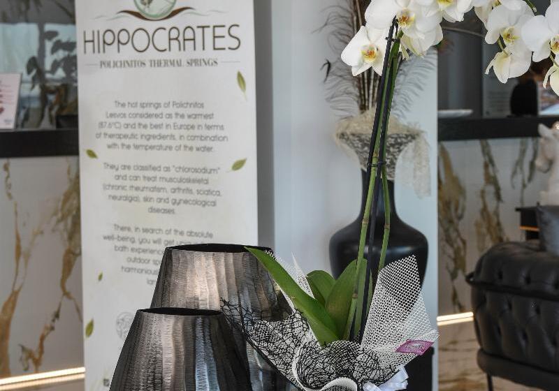 酒店 Mythical Coast Wellness Retreat