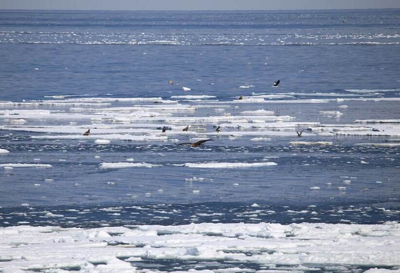 בית מלון כפרי Iruka