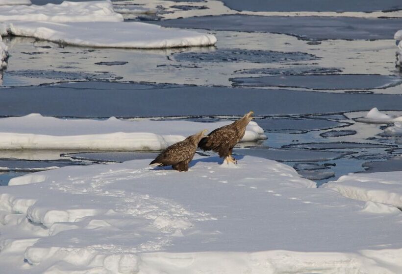 בית מלון כפרי Iruka
