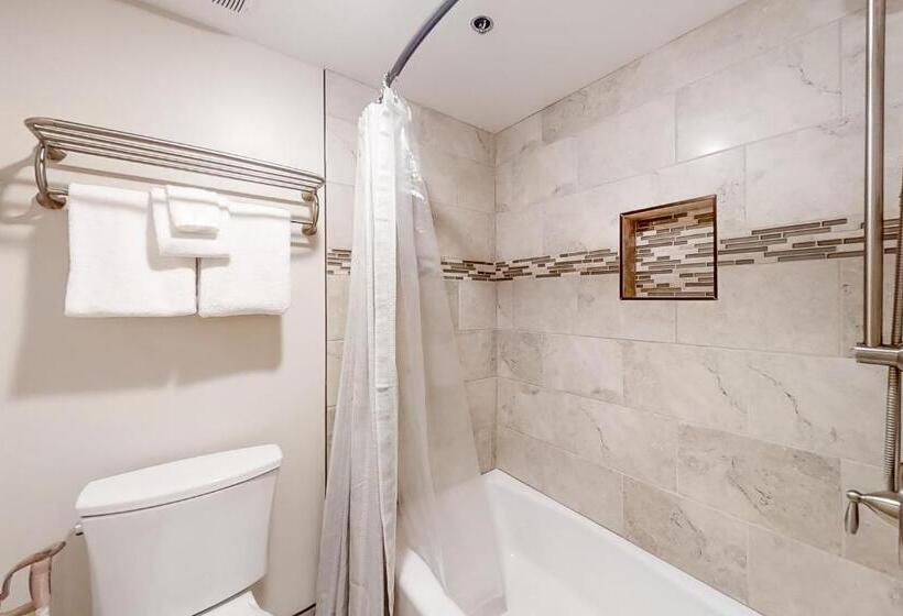 호텔 Park Station Condominiums 234