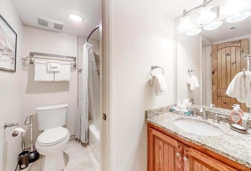 호텔 Park Station Condominiums 234