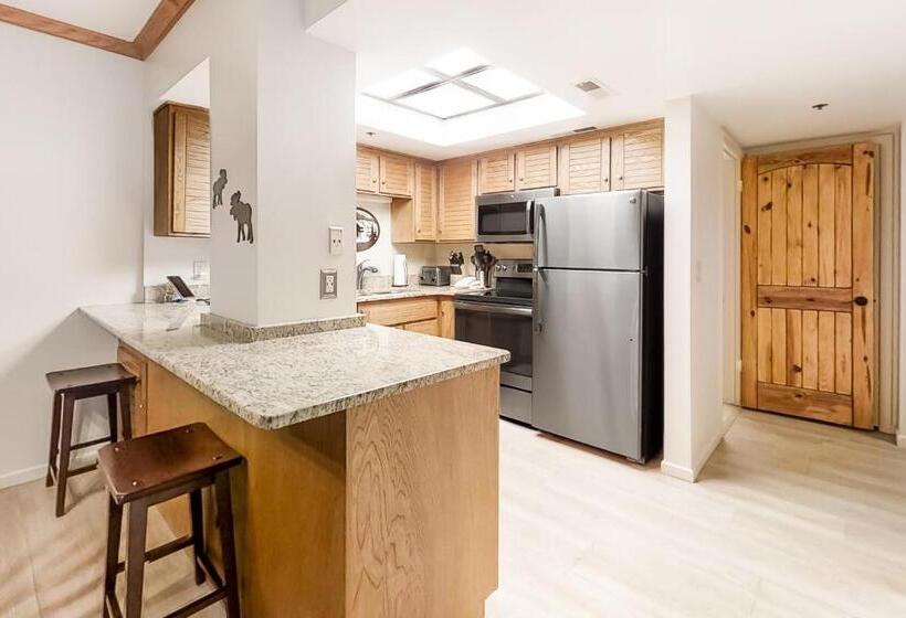 호텔 Park Station Condominiums 234