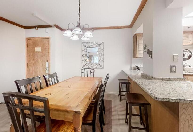 호텔 Park Station Condominiums 234