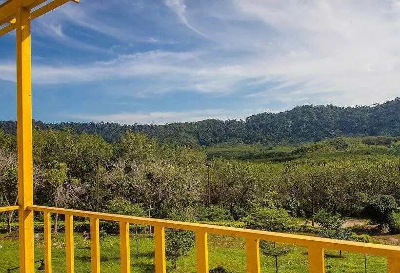 Pensió Keereelay     Sha Extra Plus