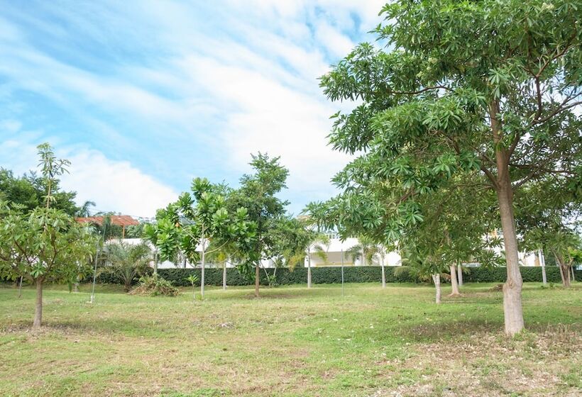 Pensão Keereelay     Sha Extra Plus